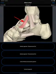 anatomy foot quiz iPad Captures Décran 2