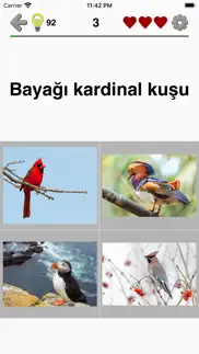 hayvanlar: memeliler ve kuşlar iphone resimleri 4