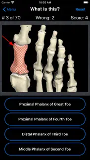 anatomy foot quiz iPhone Captures Décran 2