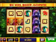 good fortune slots casino game ipad images 3