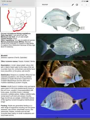 marine fish guide ipad images 1
