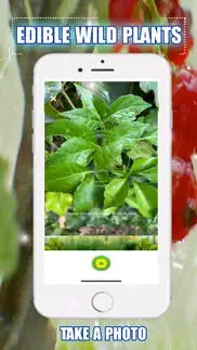 edible wild plants iPhone Captures Décran 2