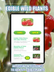 edible wild plants iPad Captures Décran 1