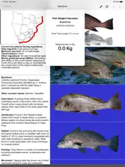 marine fish guide ipad images 2