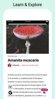 mushroomlens - fungi finder iphone images 4