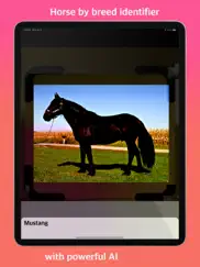 horse identifier ipad images 1
