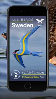 all birds sweden - photo guide iphone bildschirmfoto 1