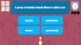 muscular system anatomy quiz iphone images 4