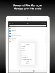 mt : browser & file manager ipad images 1