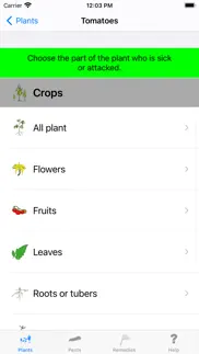 urgency vegetable garden iphone images 2