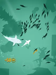 shoal of fish iPad Captures Décran 3