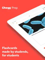 chegg prep - study flashcards ipad images 1