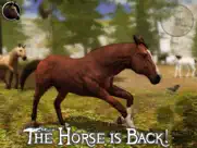 ultimate horse simulator 2 ipad images 1
