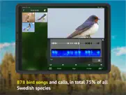 all birds sweden - photo guide ipad bildschirmfoto 4