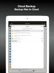 mt : browser & file manager ipad images 3