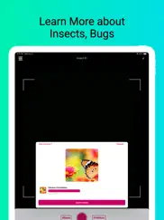 insect identifier - scan bugs ipad images 3