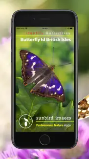 butterfly id - uk field guide iphone images 1