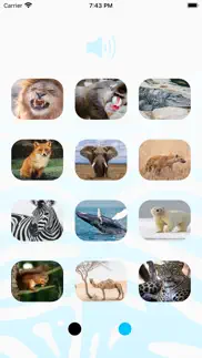 animal sounds player iphone resimleri 2