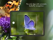 butterfly id - uk field guide ipad images 2
