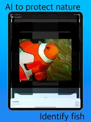 fish identifier ai ipad images 2