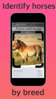 horse identifier iphone images 1
