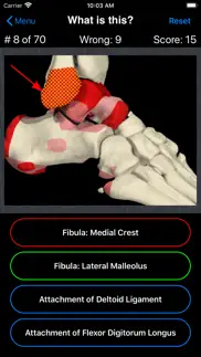anatomy foot quiz iPhone Captures Décran 3