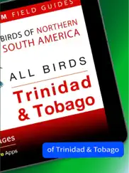 all birds trinidad and tobago ipad images 2