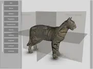 3d cat anatomy ipad bildschirmfoto 1