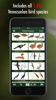 all birds venezuela - guide iphone images 3