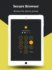 secret private browser ipad images 1