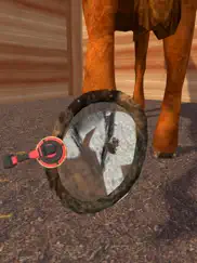 horse shoeing 3d ipad images 2