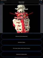 anatomy spine quiz iPad Captures Décran 3