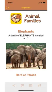 animal families iphone images 4