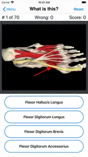 anatomy foot quiz iPhone Captures Décran 4