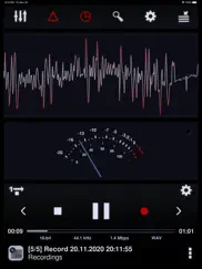 neutron audio recorder iPad Captures Décran 2