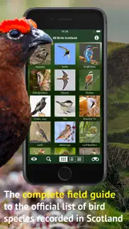 all birds scotland photo guide iphone images 2