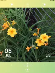 garden camera iPad Captures Décran 1