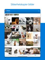 Microsoft OneDrive ipad bilder 1
