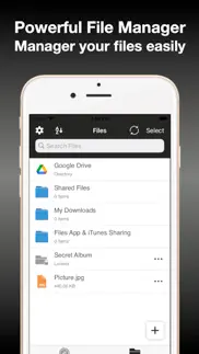 mt : browser & file manager iphone images 2
