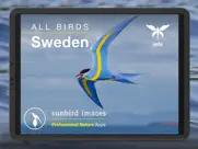 all birds sweden - photo guide ipad bildschirmfoto 1
