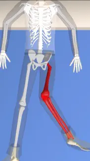 chiropractor 3d iphone images 1