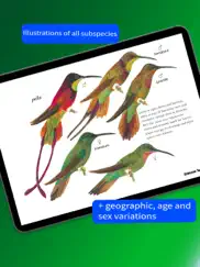 all birds trinidad and tobago ipad images 3