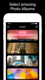 widget pro ⋆ photo widgets app айфон картинки 3
