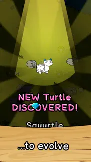 turtle evolution iphone images 2