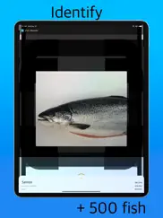 fish identifier ai ipad images 1