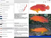 marine fish guide ipad images 4