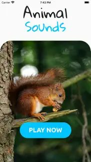 animal sounds player iphone resimleri 1