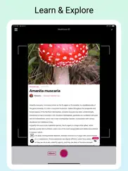 mushroomlens - fungi finder ipad images 4