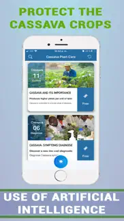 cassava plant disease identify iphone images 3