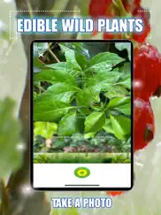 edible wild plants iPad Captures Décran 2